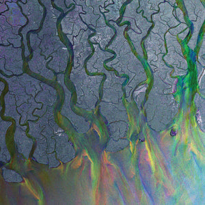 Alt-J-An Awesome Wave LP
