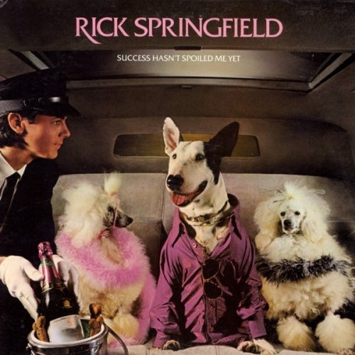 Rick Springfield-Success Hasn't Spoiled Me Yet LP Final Sale