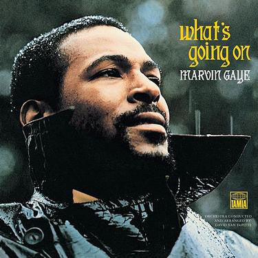 Marvin Gaye-What's Going On LP