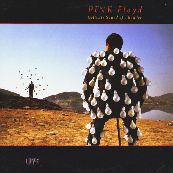 Pink Floyd-Delicate Sound Of Thunder 2xLP