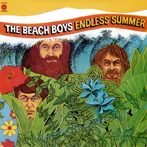 The Beach Boys-Endless Summer 2xLP