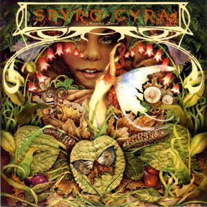 Spyro Gyra-Morning Dance LP