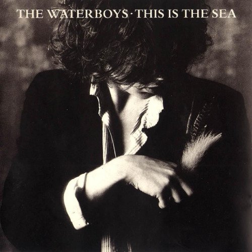 The Waterboys-This is the Sea