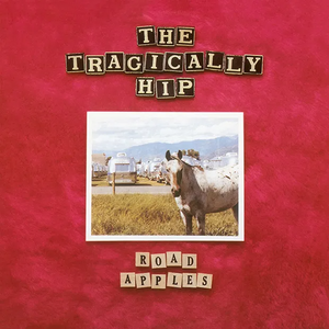 The Tragically Hip-Road Apples CD