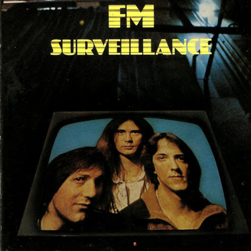 FM-Surveillance LP